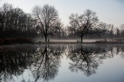 Duke Island Park