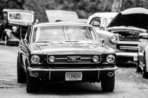 Car Shows