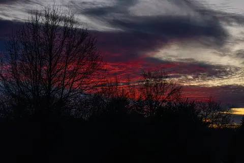 Landscapes
