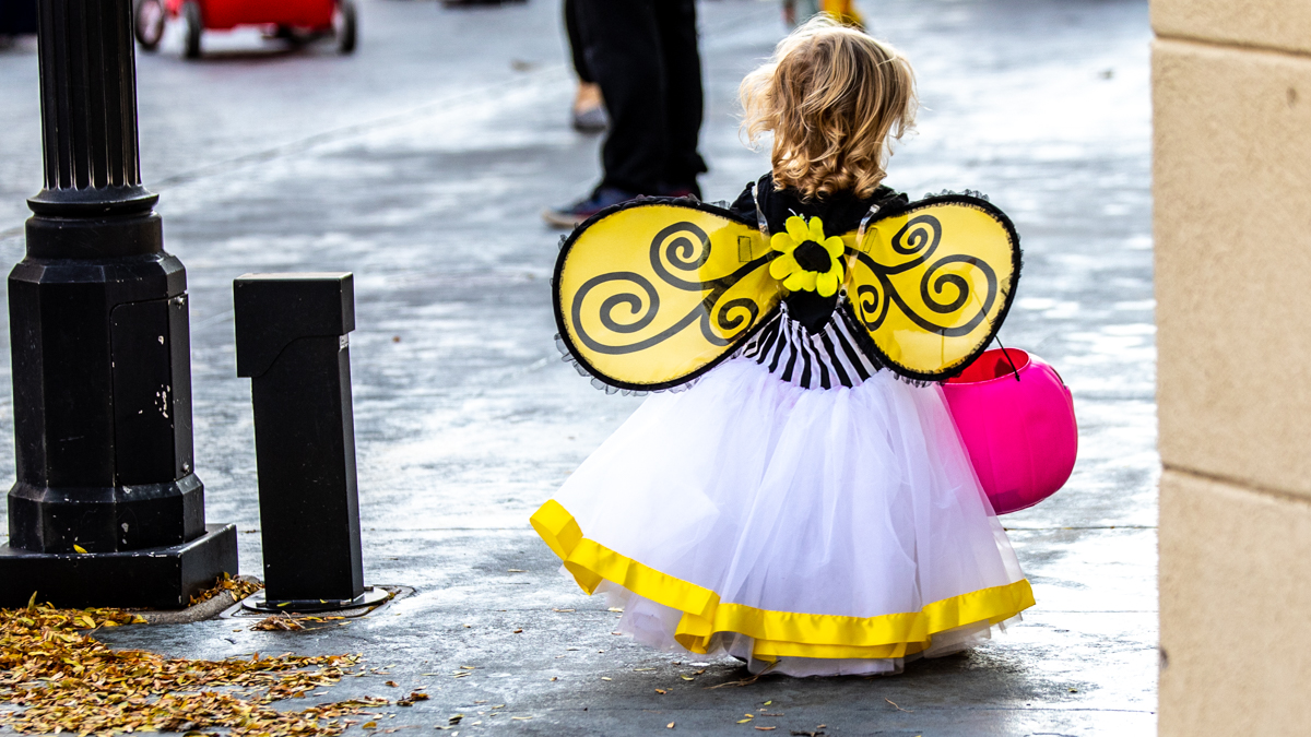 Halloween Events in Somerville New Jersey | How Haunted is Somerville New Jersey?