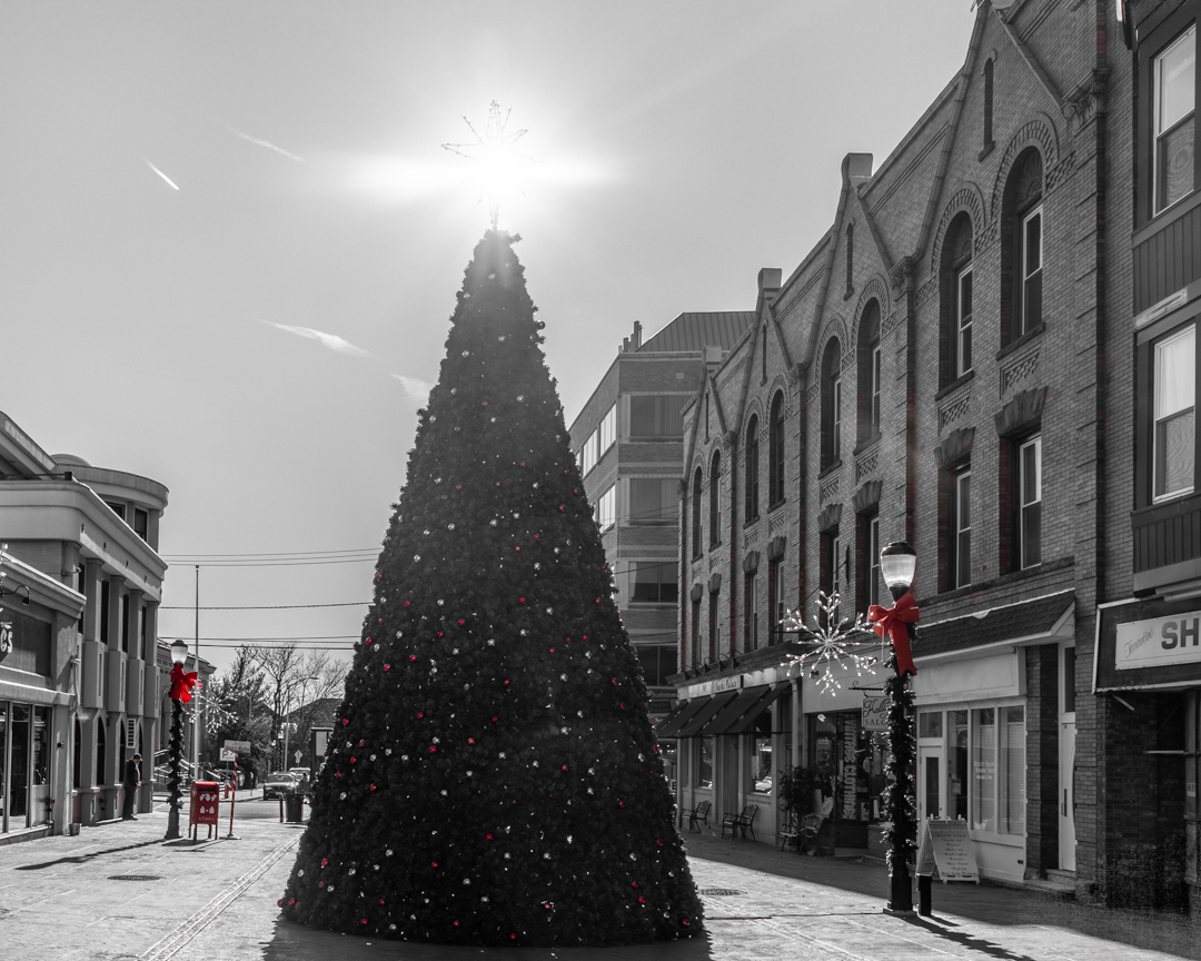 Somerville for the Holidays